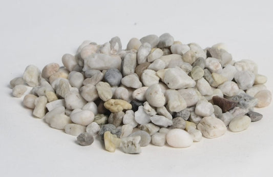 Duitse Witte Kwartgrind