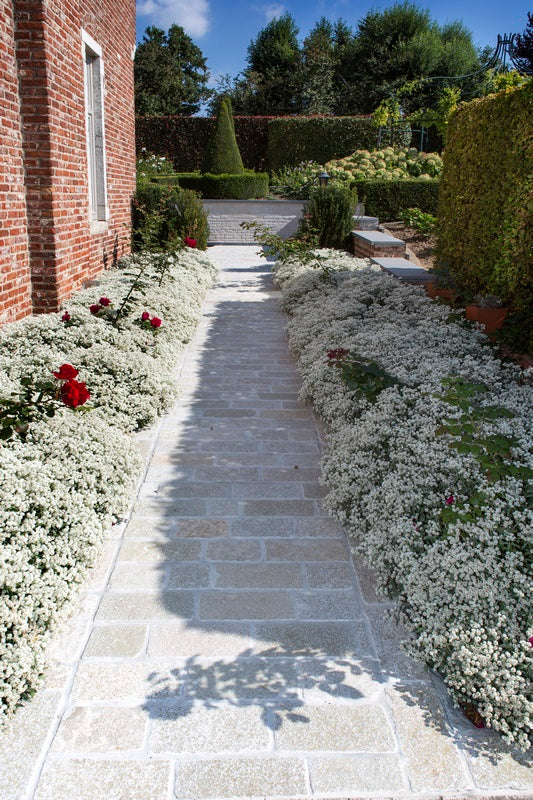 Kasseien Tandur Beige 20x14x5-7cm