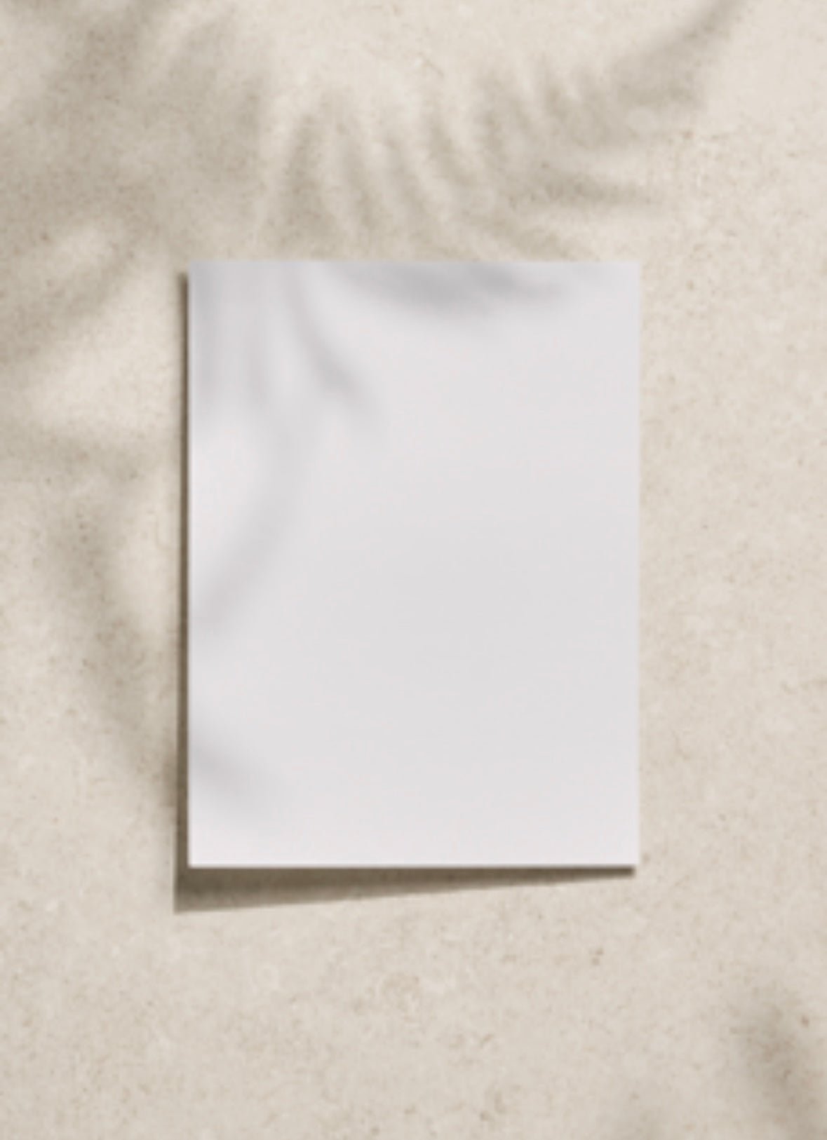 Tegel Keramisch Etrea Avorio 900x900x9.5mm naturale