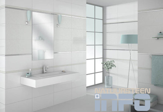 Wandtegels blanco wit  prismacer 600x300x8mm glans