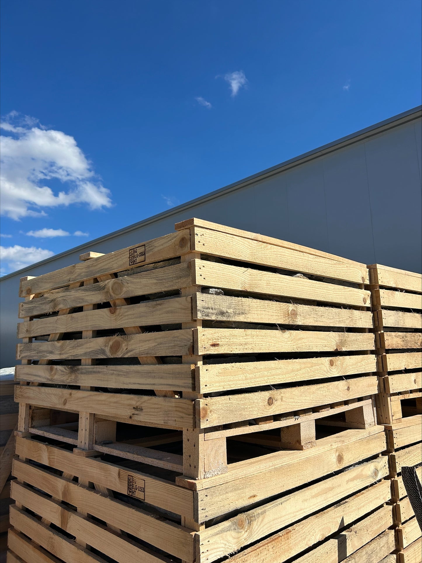 Flagstone Kavalas Grey Jumbo  XXL 20-35mm 2-4pcM2 inhoud krat 22M2