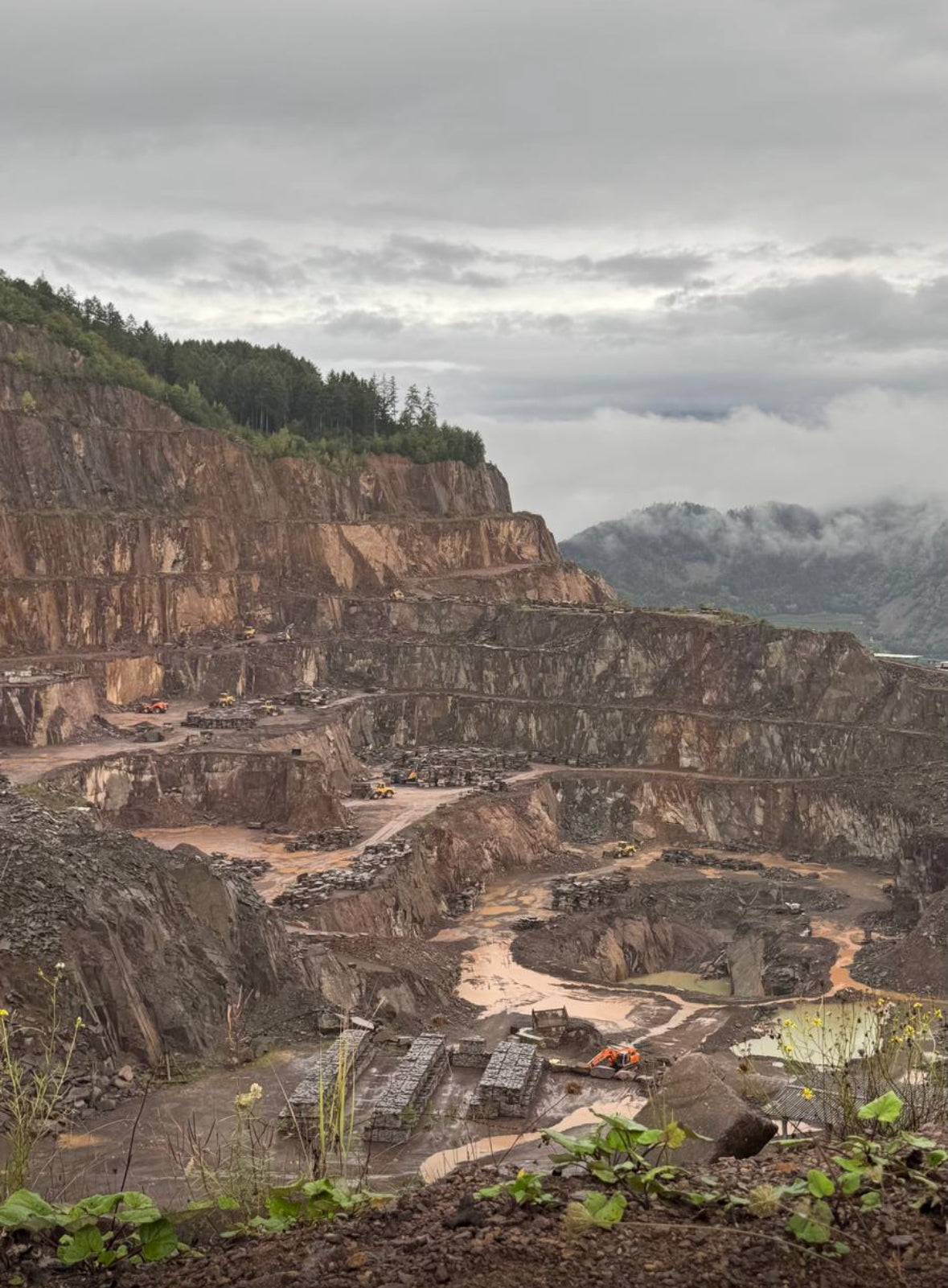 Kasseien Italiaanse Porfier 10x10x6-8cm