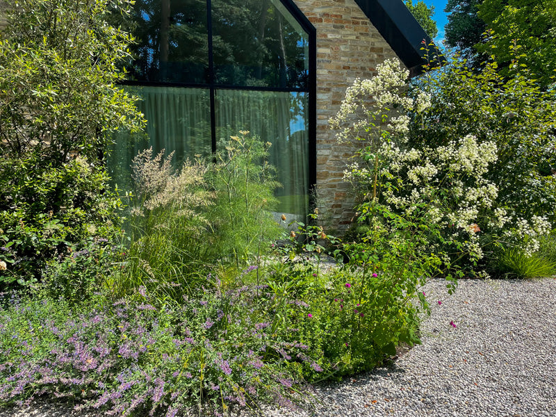 Rocks Yellow  Quartzite 3-5cm