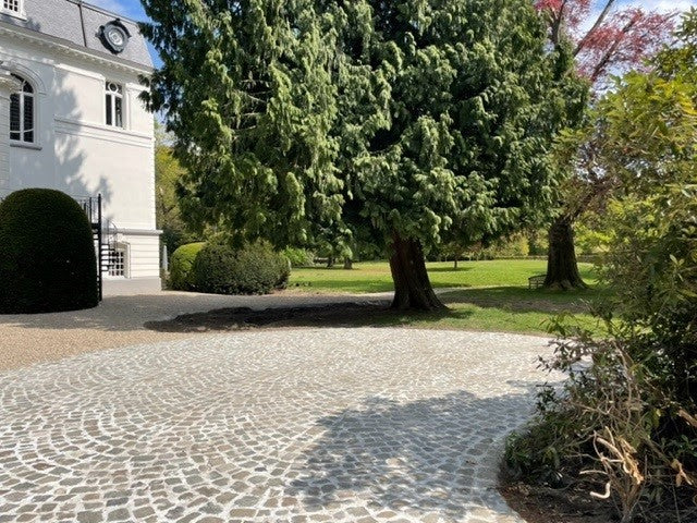 Kasseien Belgische Porfier 20x14x3-5cm